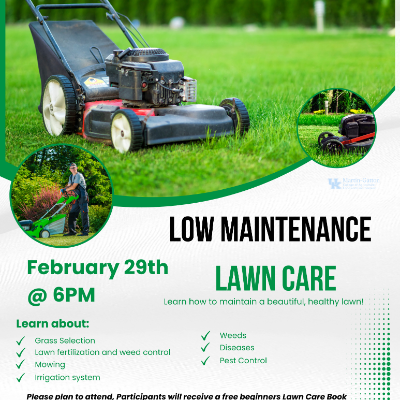 Low Maintenance Lawn Care